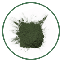 Chlorella